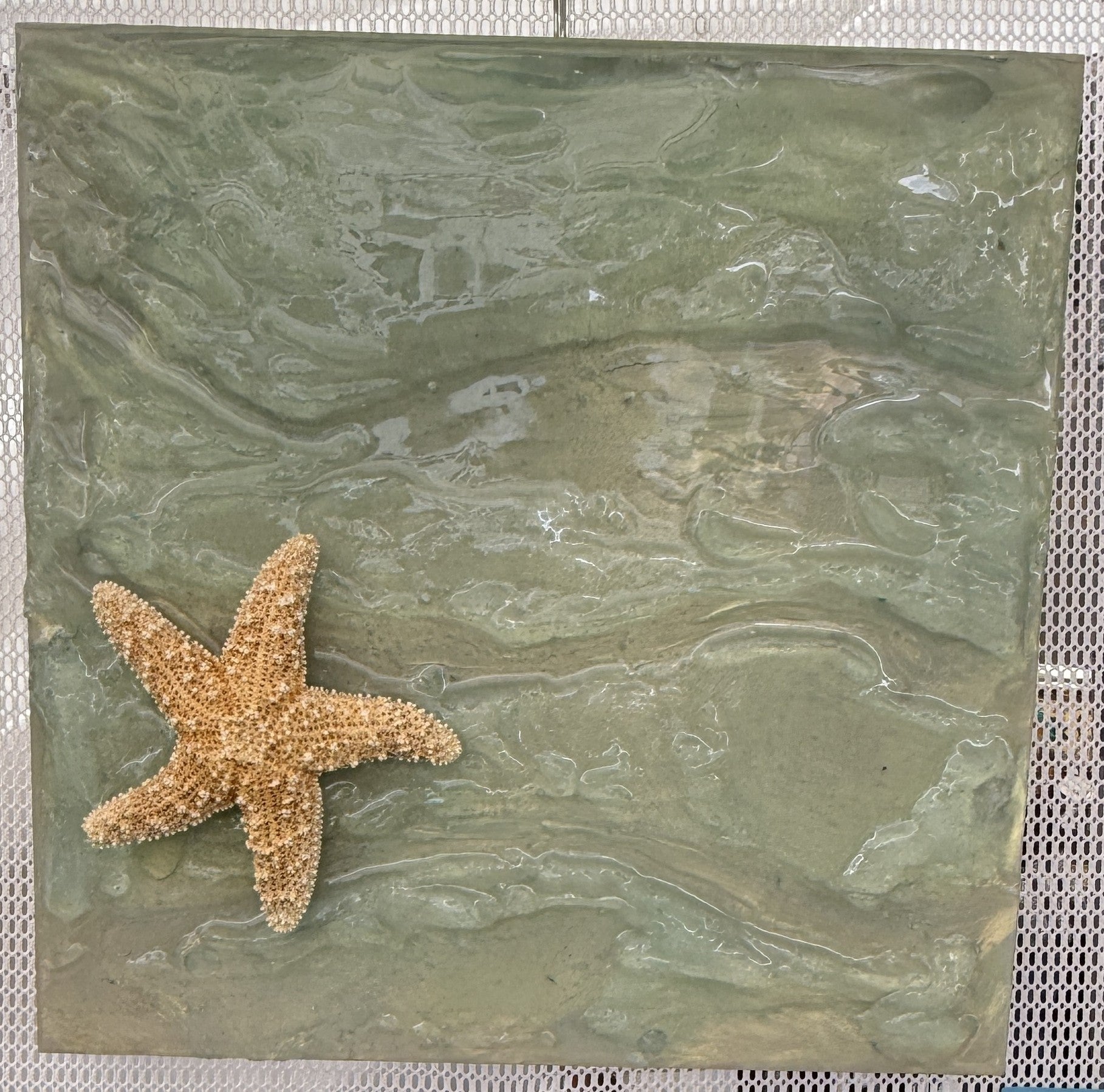 Starfish Drift – 12x12 Coastal Resin Art